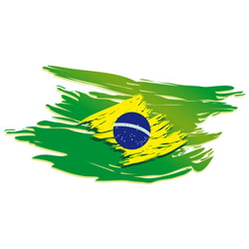 bazil-swoosh.png
