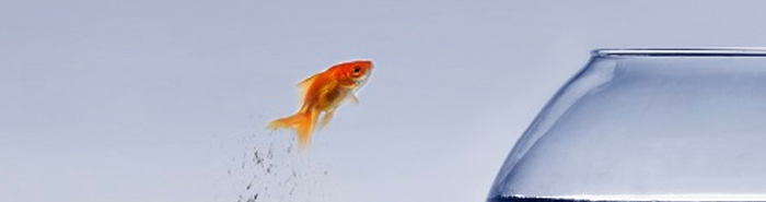 Business acumen skills