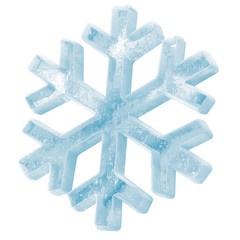 Sanctimonious-Snowflake